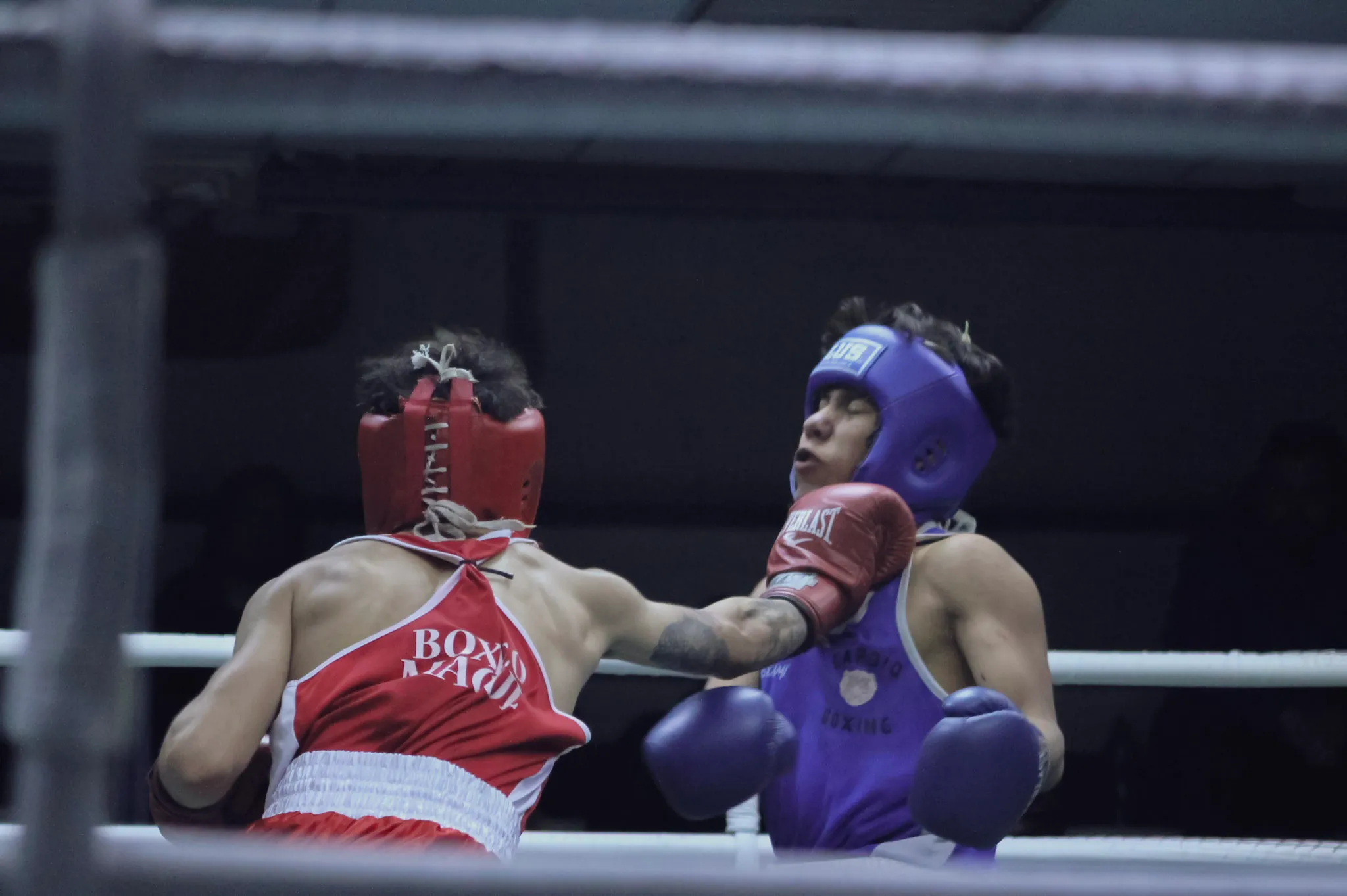 Dos boxeadores en plena pelea